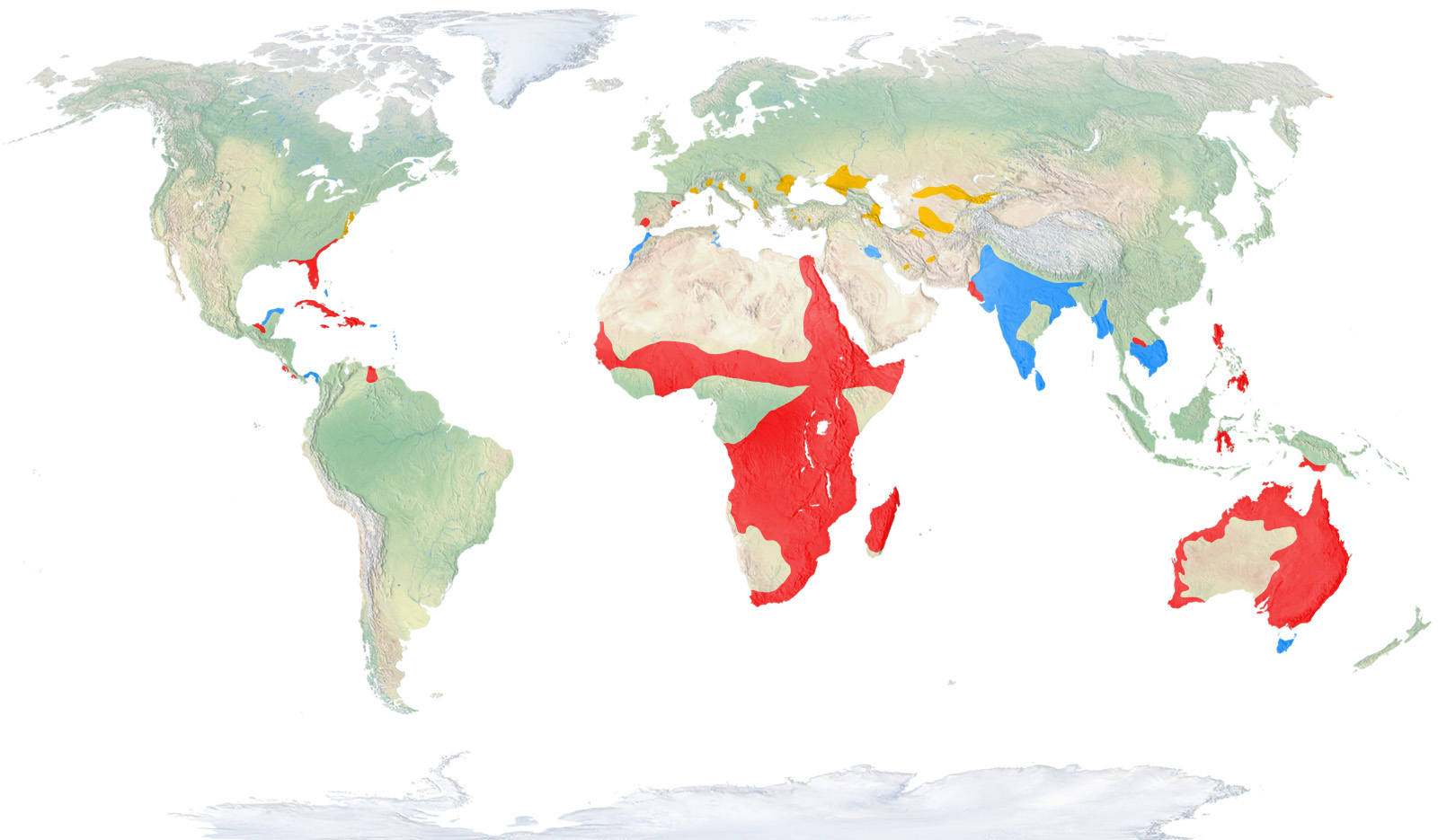 Glossy Ibis Range Map